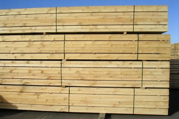 gỗ thông từ Newzealand